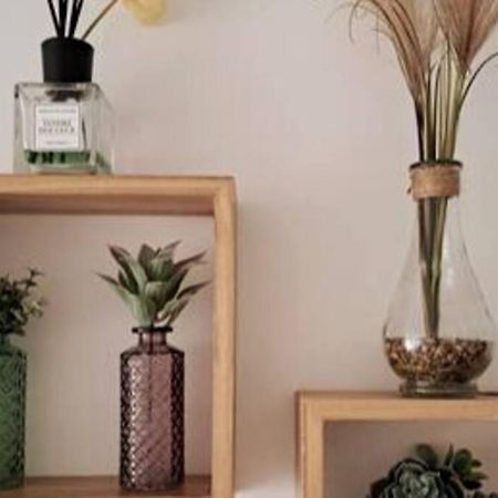 플레이오스크 La Madoca 아파트 외부 사진